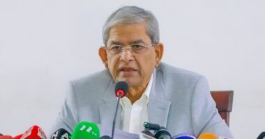 ভোট বানচালে দিল্লিতে হাসিনাকে ২৫০০ কোটি টাকা দিয়েছে এস আলম : মির্জা ফখরুল