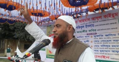 ফ্যাসিবাদমুক্ত রাষ্ট্র গঠনে পিআর পদ্ধতিতে নির্বাচনের বিকল্প নেই : মাওলানা আহমদ আবদুল কাইয়ূম