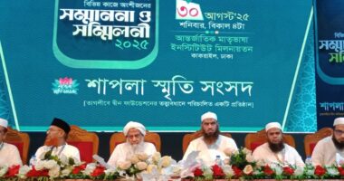 শাপলার চেতনা আগামীর বাংলাদেশের মাইলফলক : মামুনুল হক