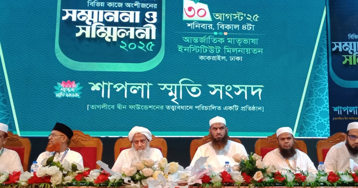 শাপলার চেতনা আগামীর বাংলাদেশের মাইলফলক : মামুনুল হক