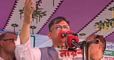 আল্লাহ ছাড়া ফেব্রুয়ারির নির্বাচন ঠেকানোর শক্তি কারো নেই : সালাহউদ্দিন আহমদ