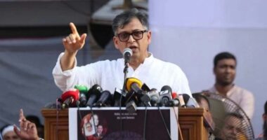 সংবিধানে পিআর বলতে কোনো শব্দ নেই: সালাহউদ্দিন আহমেদ