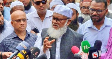 আমরা অল্প সময় আছি,নির্বাচিত সরকারের কাছে ক্ষমতা হস্তান্তর করে নিজের ঠিকানায় ফিরে যাব : ধর্ম উপদেষ্টা