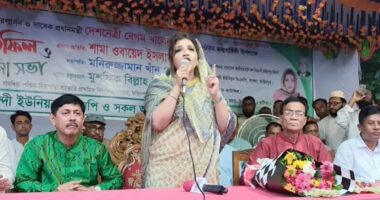 জনগণের ভোটে নির্বাচিত হয়েই বিএনপি পূর্ণাঙ্গ সংস্কার করবে : শামা ওবায়েদ