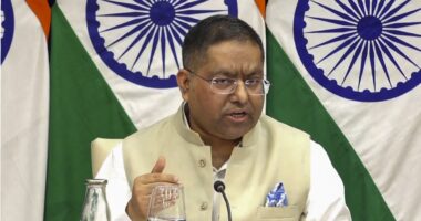 ভারতে আ. লীগের কার্যক্রম সম্পর্কে অবগত নয় মোদি সরকার : জয়সওয়াল