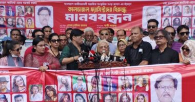 কিছু সাংস্কৃতিক কর্মী স্বৈরাচারের জন্য মায়াকান্না করছে: সেলিমা রহমান