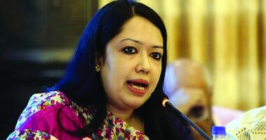 নিজের বক্তব্যের জন্য দুঃখ প্রকাশ করলেন রুমিন ফারহানা