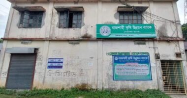 মামলা দেওয়ায় ঋণখেলাপি যুবদল নেতার নেতৃত্বে ব্যাংকে হামলা-ভাঙচুর