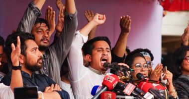 মুজিবের বাহাত্তরের সংবিধান আরেক দেশ থেকে পাস হয়ে এসেছে: সারজিস আলম