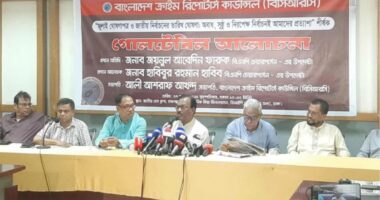 জামায়াত শত বছর চেষ্টা করেও ক্ষমতায় আসতে পারবে না: হাবিব