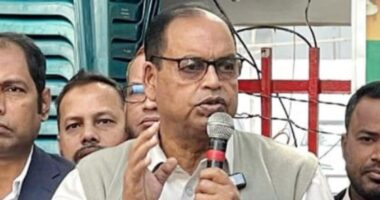 আগামী নির্বাচনে ধানের শীষ ছাড়া আর কিছু পাত্তা পাবে না: দুদু