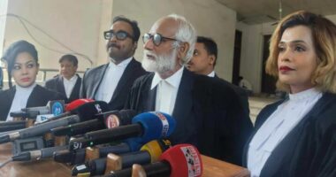 হাসিনার আইনজীবী হতে জেড আই খান পান্নার আবেদন, ট্রাইব্যুনালের ‘না’