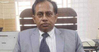 ১৭ বিয়ে করা সেই বন কর্মকর্তা বরখাস্ত