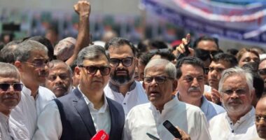 ধ্বংসচেষ্টা সত্ত্বেও বিএনপি বারবার ফিনিক্স পাখির মত ফিরে এসেছে : মির্জা ফখরুল