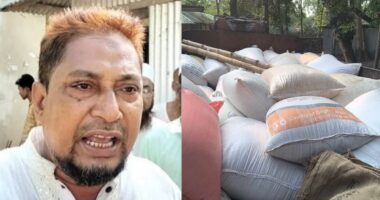 সরকারি চাল কালোবাজারে বিক্রির অভিযোগে বিএনপির নেতা গ্রেফতার