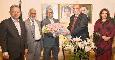 বিএনপির শীর্ষ নেতাদের সঙ্গে পাকিস্তান হাইকমিশনারের সাক্ষাৎ