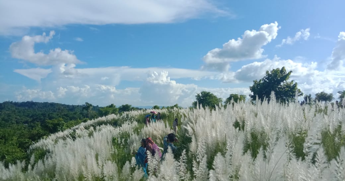 দীঘিনালার পাহাড়ি জনপদে শরতের কাশফুলে সাদা শুভ্রতার মেলা