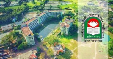 নজরুল বিশ্ববিদ্যালয়ে শ্রমিককে মারধর করে মোবাইল ছিনতাই