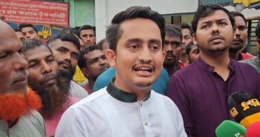 রিফাইন্ড আওয়ামী লীগের আইডিয়া ভারতের দেয়া : সারজিস আলম