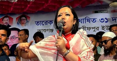 যারা ১০ আসনও পাবে না, তারাই নির্বাচন বানচাল করতে চায় : রুমিন ফারহানা