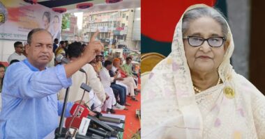 ভারতে পালিয়েও রক্ষা নেই,গলায় গামছা দিয়ে টেনে আনা হবে শেখ হাসিনাকে,বিচার করা হবেই : দুদু