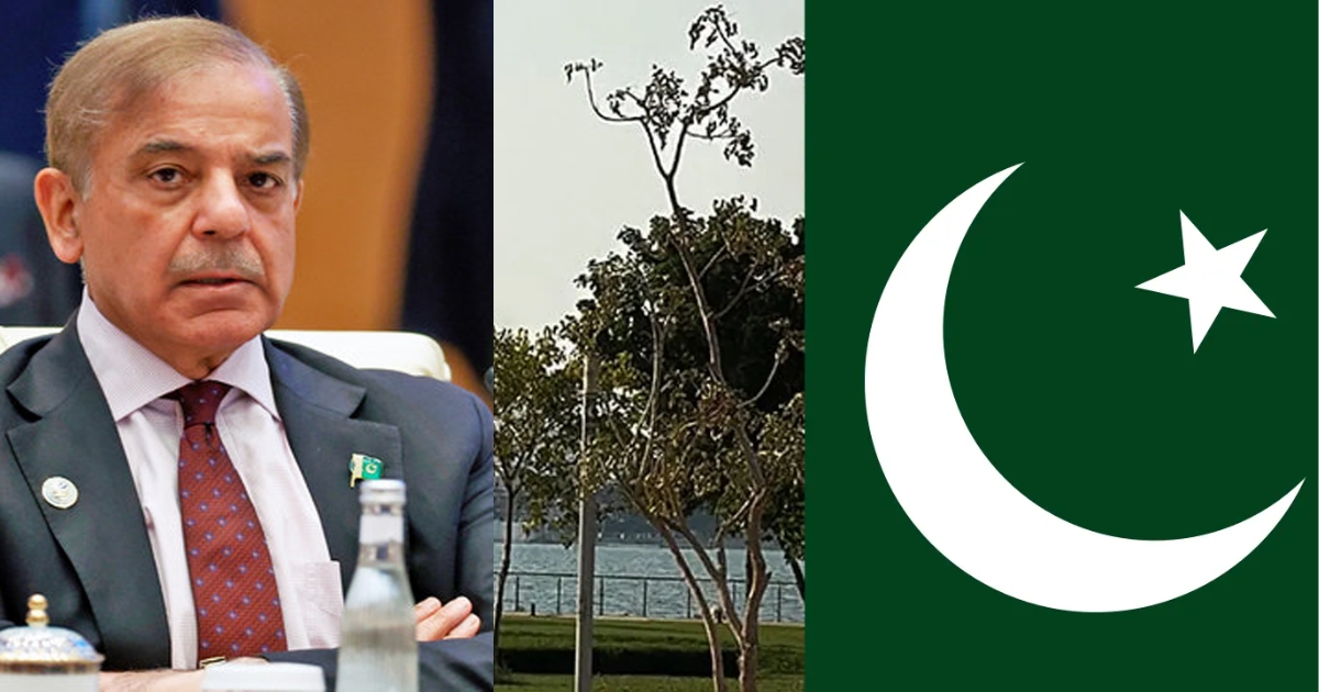 কাতারে ইসরায়েলি বিমান হামলা পুরোপুরি সার্বভৌমত্ব লঙ্ঘনের শামিল : পাকিস্তানের তীব্র নিন্দা