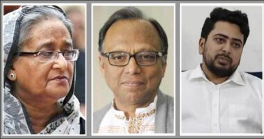 শেখ হাসিনার মামলায় ট্রাইব্যুনালে সাক্ষ্য দেবেন মাহমুদুর রহমান-নাহিদ ইসলাম