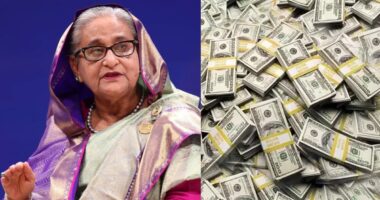 শেখ হাসিনার আমলে বাংলাদেশ থেকে ২৩৪ বিলিয়ন ডলার পাচার