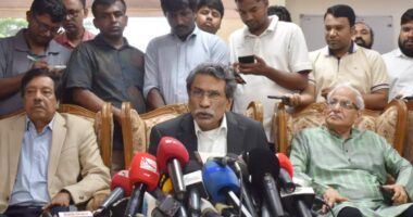 দেশে অন্তত ৩টি সুষ্ঠু নির্বাচন হয়েছে, কিন্তু পরাজিতরা মেনে নেয়নি : আলী রীয়াজ