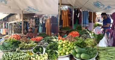 দীঘিনালায় সবজির বাজারে স্বস্তি ফেরেছে