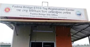 পদ্মা সেতুতে চালু হলো নন-স্টপ ইলেকট্রনিক টোল সেবা