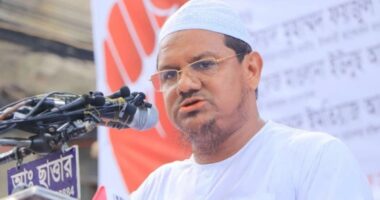 পিআর পদ্ধতিতে ফ্যাসিস্ট তৈরির সুযোগ থাকে না : রেজাউল করিম