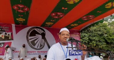 স্বৈরতন্ত্র থেকে রক্ষায় পিআরে নির্বাচন হতেই হবে : চরমোনাই পীর