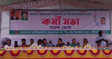সিংগাইরে কর্মীসভায় নেতাকর্মীদের ঐক্যবদ্ধ থাকার আহ্বান