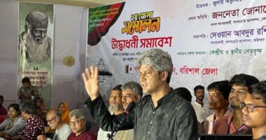 অভ্যুত্থানের সুযোগ নিয়ে আরেকটি দল উগ্রপন্থি হওয়ার চেষ্টা করছে : সাকি