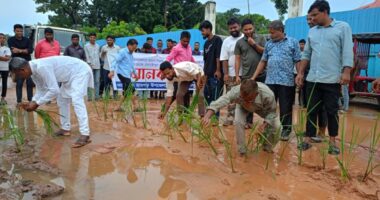 রামগড়ে সড়ক সংস্কারের দাবিতে মানববন্ধন ও সড়কে ধানের চারা রোপণ