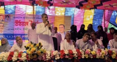 আমরা খালেদা জিয়াকে আবার নির্বাচিত করে নিয়ে আসব : এ্যানি