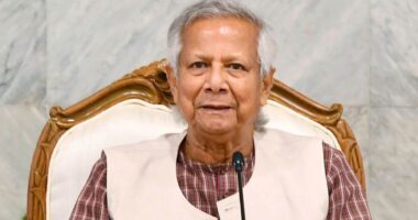 ফেব্রুয়ারিতে নির্বাচনের জন্য দেশ সম্পূর্ণ প্রস্তুত : প্রধান উপদেষ্টা