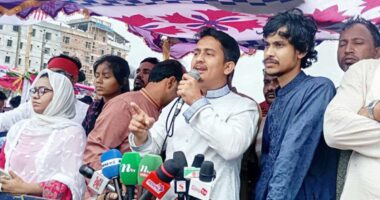 ভারতের আশীর্বাদে আর কোনো দল ক্ষমতায় আসতে পারবে না : সারজিস