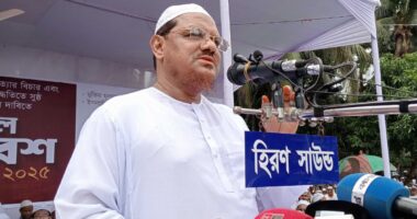 ২০ শতাংশ ভোটও না থাকায় বিএনপি পিআরের বিরোধিতা করছে : চরমোনাই পীর