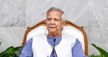 রাজনৈতিক দলগুলো শিগগির ‘জুলাই সনদ’ সই করবে : প্রধান উপদেষ্টা