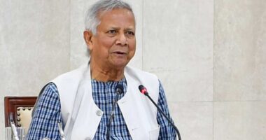 গণবিপ্লবকে ভালোভাবে নেয়নি ভারত, এ কারণে বাংলাদেশের সাথে সম্পর্ক খারাপ হয়েছে : প্রধান উপদেষ্টা