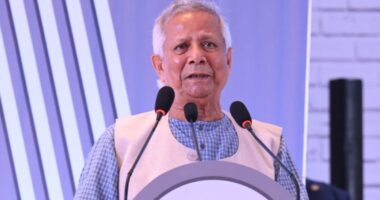 ঢাকার সঙ্গে ভারতের উত্তেজনার কারণ শেখ হাসিনা,প্রধান উপদেষ্টা