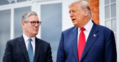 ট্রাম্পের মতো ‘বিষাক্ত সাপের’ সঙ্গে বন্ধুত্ব সম্ভব নয় : ব্রিটিশ প্রধানমন্ত্রী