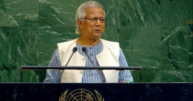 নির্বাচনে যে দলই জয়ী হোক, সংস্কার বাস্তবায়নে অনিশ্চয়তা থাকবে না : প্রধান উপদেষ্টা