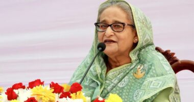 শেখ হাসিনার জন্মদিনে আ.লীগের কর্মসূচি চূড়ান্ত, কঠোর অবস্থানে প্রশাসন