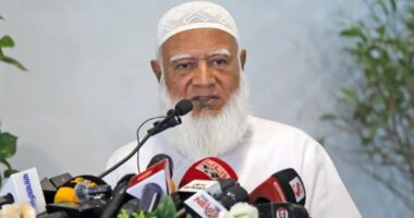 ক্ষমতায় এলে দাবি আদায়ে জনগণকে রাস্তায় নামতে হবে না : জামায়াত আমির