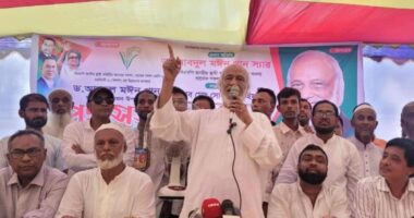 আ.লীগ বন্ধু সেজে হিন্দু সম্প্রদায়ের ক্ষতি করেছে : ড. মঈন খান