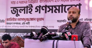 ‘এস আলমের টাকা শুধু শেখ হাসিনা খায় না, অনেক দলের নেতারা খায়’ : ব্যারিস্টার ফুয়াদ