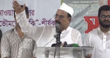 জামায়াত ইসলাম তো দাপটে আছে, মনে হয় ক্ষমতায় আছে জামায়াত : গয়েশ্বর চন্দ্র